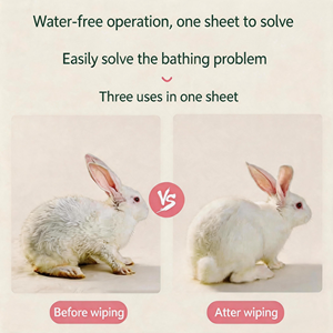 Gants de toilettage jetables sans eau pour lapins, lingettes de bain pour petits animaux et hamsters - Product Image 3