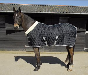Tapis de cheval équestre Offre Spéciale personnalisé Quilting couverture stable tapis de cheval d'hiver pour l'équitation - Product Image 1