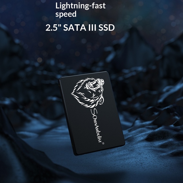 Glorexon Internal SATA 3.0 SSD 2.5 Inch 256GB-2TB Read 450MB/s Write 400MB/s USB 3.0 Desktop PC Laptop Storage
