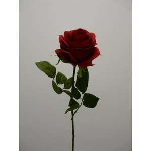 ROSA MARIA SPRAY X1 68CM RD - Product Image 1