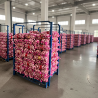 Fournisseur de prix de gros d'ail frais, ail blanc frais, exportateur d'ail frais, Ajo Ail Frais, ail frais, usine chinoise
