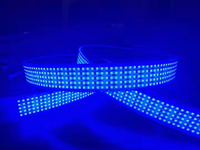 Guirlandes lumineuses à 5 rangées pour clients américains, blanc pur, CRI 95 élevé, étanches IP68, bande LED 5730 12V