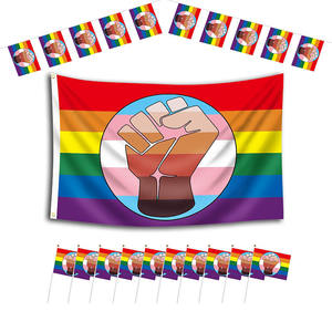 מוכן למשלוח 3x5ft כל כלול <span class=keywords><strong>lgbt</strong></span> קשת lgbtq הלסבית התקדמות להט "בי להט" ב עבור טיסה חיצונית - Product Image 5