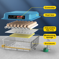 Incubateur à œufs entièrement automatique avec contrôle de la température et de l'humidité pour poulets, volailles et oiseaux