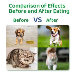 Bán buôn chó bàng quang & uti hỗ trợ Viên nhai | Thuốc Nam Việt Quất có hương vị gà cho sức khỏe đường tiết niệu - Product Image 5