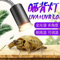 Lampe chauffante pour tortue, lumière chauffante à spectre complet, ampoule solaire, supplément de calcium, chauffe-tortue pour terrarium de reptiles