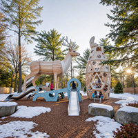 Équipement de jeu extérieur en bois sur le thème du cerf, toboggan en acier inoxydable, certifié CE pour sites touristiques, centres de villégiature et parcs communautaires