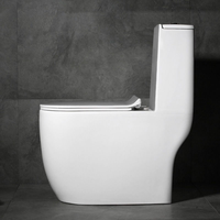 Ensemble WC monobloc en céramique blanche à chasse directe avec siphon en S, à poser au sol, pour salle de bain et hôtel (vente en gros)