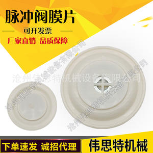 AUTEL AE Series Solenoid Valves for <b>Dust</b> <b>Collector</b> All with PTEE Diaphragms - Product Image 3