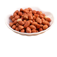 20g Bolsa Pequeña de Cacahuetes Salados Tostados, Granos Enteros Crujientes Horneados con Sal, Snack Diario de Frutos Secos, Empaque Personalizado OEM, Suministro al por Mayor de Fábrica