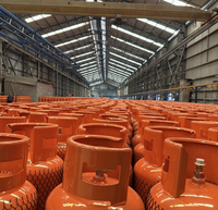 Muestra Gratuita, Cilindro de Gas LPG de 12.5 kg con Certificación CE, Tanque de Propano de Acero, Directo de Fábrica, OEM, MOQ Flexible