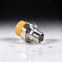 Raccord de tuyauterie en acier inoxydable PPR, connecteur à fusion thermique pour l'alimentation en eau chaude et froide