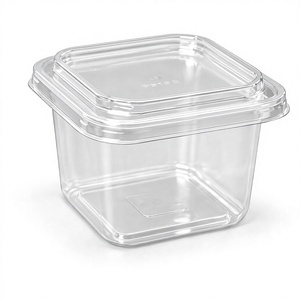 Crystal-clear <b>PET</b> <b>PET</b> SQ Container, 32 OZ / 940 ML Capacity, 115×115 Range - Wholesale <b>PET</b> SQ Containers for deli meal prep, sal - Product Image 4
