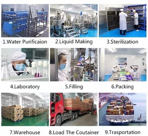 Nuovo arrivo <span class=keywords><strong>Lovage</strong></span> Root olio 100% puro ed estrazione vegetale con Logo ed etichetta privati - Product Image 6