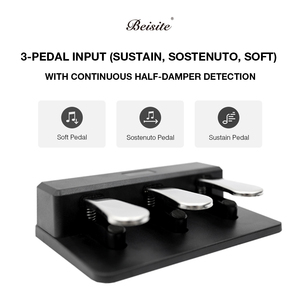 Beisite S-208 88-Key bước-by-step trọng lượng tiêu chuẩn bàn phím điện tử với USB MIDI chiếu sáng 238 tấn cho người mới bắt đầu - Product Image 5