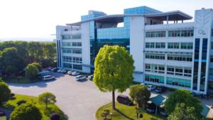 Té <span class=keywords><strong>Verde</strong></span> a precio de fábrica, té <span class=keywords><strong>Verde</strong></span> a precio de fábrica, personalizado, 9675AAAA - Product Image 6