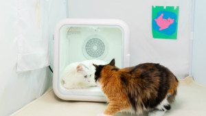 Kotak pengering hewan peliharaan rumah penjualan laris 2024 mesin pengering mandi kucing dan anjing otomatis sepenuhnya desinfeksi pengering rambut - Product Image 5