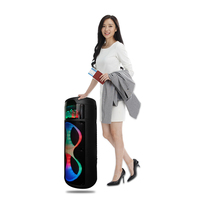 Enceinte portable sans fil ZQS8223 double 8 pouces avec lumières, son stéréo puissant, basses profondes, enceintes d'extérieur prenant en charge la double couplage
