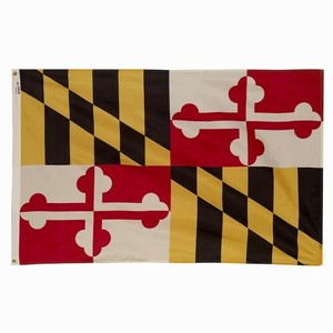 Bandera del Estado <span class=keywords><strong>de</strong></span> Boston para exteriores, 3x5, entrega rápida - Product Image 1