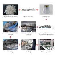 Volledig Automatische 3-Stations Vlees Snacks Ei PS/PLA/PET/PP/PVC Schalen Vormende Thermoformmachine Hoge Productiviteit