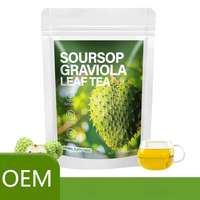 OEM Graviola-Blättertee-Beutel mit Eigenmarke, Natürliche Immununterstützung, Antioxidantien-Kräutermischung, 20 Beutel für Wellness