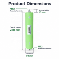 Cellule de batterie LiFePO4 cylindrique S168 M12 Terminals Solar ESS DIY 60280 3.2V 60Ah 192Wh 3000 cycles 5C