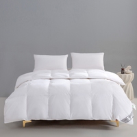 Couette plate en polyester rembourrée, imperméable, écologique, quatre saisons, nouveau style 2025