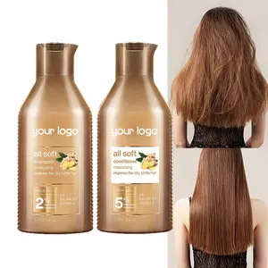 Champú y acondicionador de aceite de argán para el cuidado del cabello, conjunto profesional para recuperación, brillo, esponjoso, anticaída de cabello