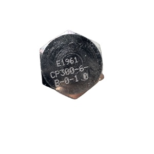 CP300-6-B-0-1.0 136356 CP300-6-B-0 CP300-6-B CP300-6 CP300 Tornillo de arrastre COMATROL ORIGIN - Product Image 6