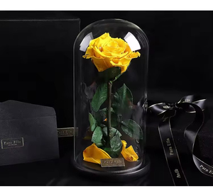 Roses éternelles naturelles de longue durée conservées en Équateur, roses éternelles réelles de longue durée - Product Image 6