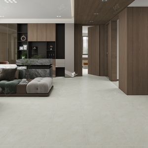 Azulejos de Porcelana Rústicos Impermeables para Interiores de Foshan, 60x60, para Dormitorio, Sala de Estar, Cocina - Product Image 5