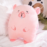 Bouillotte en peluche personnalisée Capybara, housse en peluche lavable, bouillotte en caoutchouc et bouillotte électrique anti-explosion