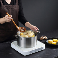 Cuisinière à Induction Portable multifonctionnelle 2000W
