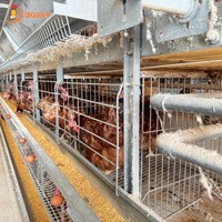 Équipement essentiel de cage automatique de poulet de pondeuse pour la production élevée d'oeufs dans les fermes avicoles