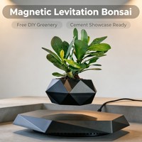 Pot à Bonsaï à Lévitation Magnétique, Pot de Plante en ABS, Pot Flottant Rotatif, Design Minimaliste, Cadeau Créatif Unique, Décoration d'Intérieur Bonsaï