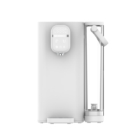 Home Use Instant Hot Water Salt Filter Machine Purifier Function Water Purifier Dispenser Low Price