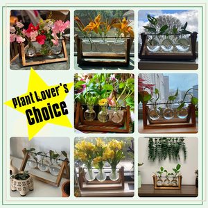 Jardinière de bureau en verre, Terrarium de plantes avec support rétro en <span class=keywords><strong>bois</strong></span> massif et support pivotant en métal pour les décorations de bureau et de maison - Product Image 4