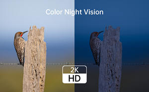 Intelligente Mini 2MP WLAN-Sicherheitskamera 1 Jahr 1000mA Akku H.264 CMOS-Sensor Farbnachtsicht Bewegungserkennung IP68 Wasserdicht - Product Image 4