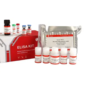 Vom menschlichen Thrombozyten abgeleiteter Wachstums faktor AA PDGF-AA Elisa Kit