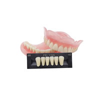 Ensemble complet de dents artificielles en résine synthétique, dents antérieures et postérieures, prothèses dentaires, fausses dents pour laboratoire dentaire, fabrication de prothèses