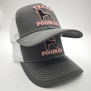 Gorra de Ciclismo Personalizada de Alta Calidad, Estilo Richardson 112, 6 Paneles, Estructurada, de Sarga de Algodón, con Parche de Malla y Logotipo - Product Image 2