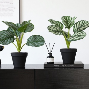 Bonsaï artificiel populaire <span class=keywords><strong>de</strong></span> haute qualité en forme <span class=keywords><strong>de</strong></span> feuille <span class=keywords><strong>de</strong></span> tortue pour la décoration élégante <span class=keywords><strong>de</strong></span> bureaux et <span class=keywords><strong>de</strong></span> maisons intérieurs - Product Image 2