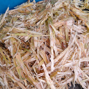 Residuos de caña de azúcar, bolitas de bagazo de caña de azúcar, residuos agrícolas - Product Image 1