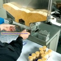 Machine de mise en bouteille de cure-dents, machine de remplissage de bouteilles de cure-dents, machine de remplissage de cure-dents