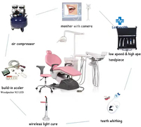 Fauteuil dentaire de luxe à prix d'usine avec endoscope dentaire et pièce à main pour traitement buccal