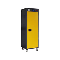 Armoire de stockage de batterie antidéflagrante IBC16