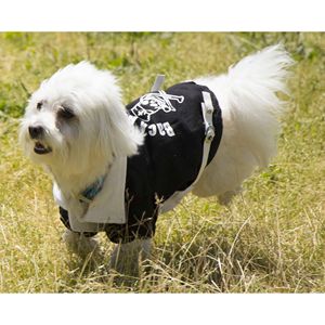 Abrigo de perro con cuello con hebilla Varsity de lujo DB en poliéster de patrón sólido y tela de PU tallas XL XXL para ropa de ocio de otoño - Product Image 5