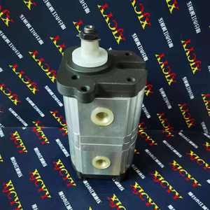 Pompe à engrenages hydraulique 3655100M91 0510465364 3661228M91 0510365315 Utilisée pour <span class=keywords><strong>Landini</strong></span> Atlantis/Ghibli 100 70 75 80 85 90 105 <span class=keywords><strong>95</strong></span> - Product Image 2