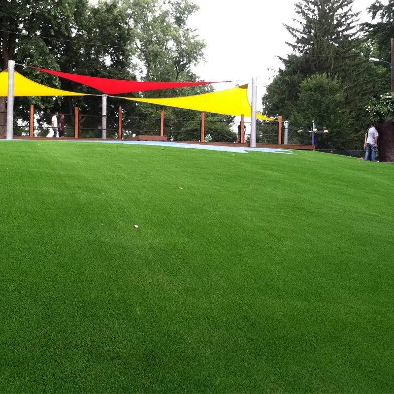 Vista del villaggio per i fiori artificiali del giardino della famiglia della città e macchina da taglio pampas erba basket badminton