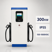 Station de recharge rapide DC GBT CHAdeMO 300 kW à double connecteur pour véhicules électriques, publique, commerciale, extérieure, OCPP, faible consommation en veille, WrightCharge
